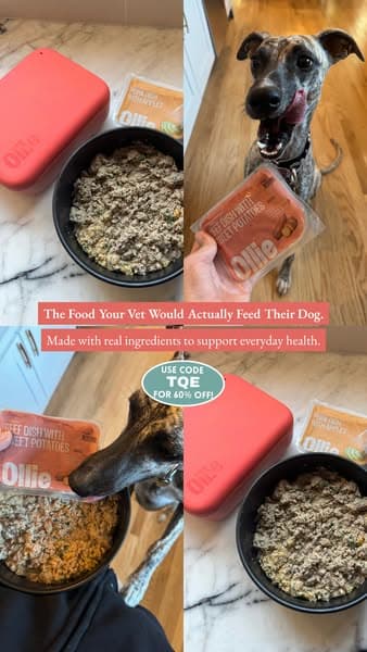 Vet-Approved Pup Nutrition