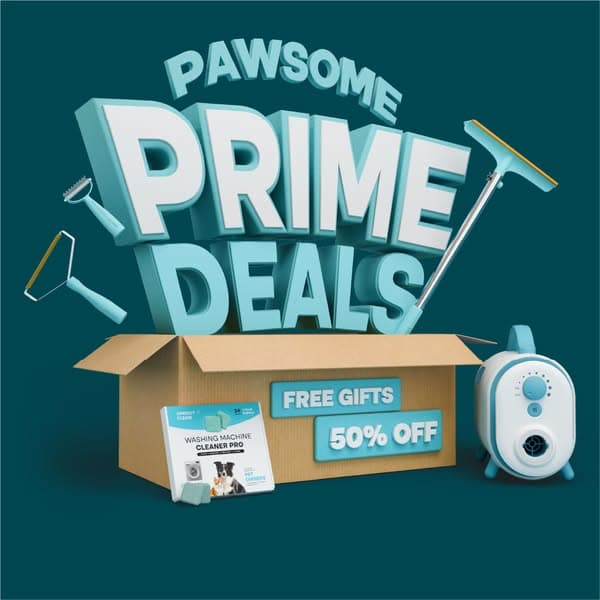 🟡 Prime Time Sale -  50% OFF 🟡