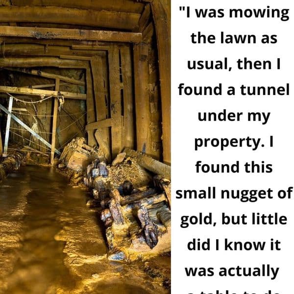 Story Time: What Happens When Man Finds a Gold Mine Inside His Property