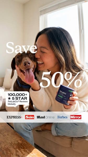 50% OFF Dog Dental Powder | Powerful Daily Support