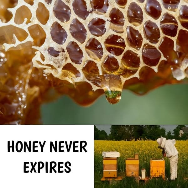 Surprising Things We Didn't Know About The Foods We Eat Daily