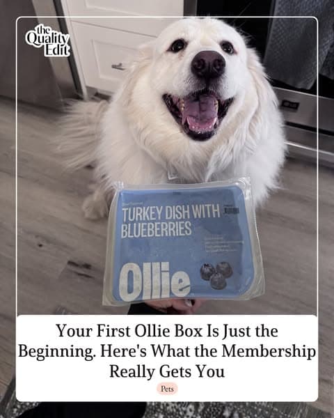 Inside Your First Ollie Box (Full Review)