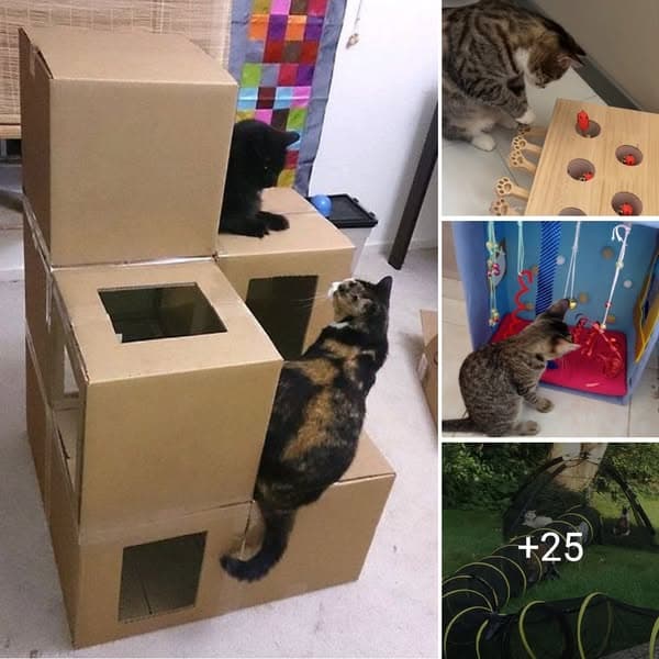 DIY Cat Toys That Will Help Keep Any Cat Happy