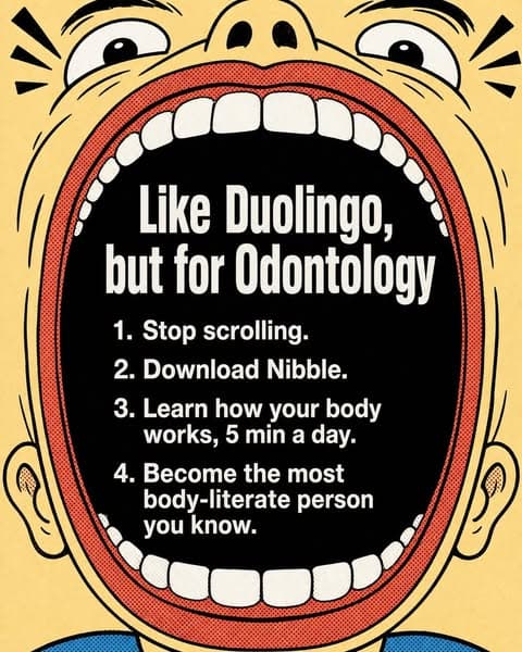 Anatomy explained like you're 5