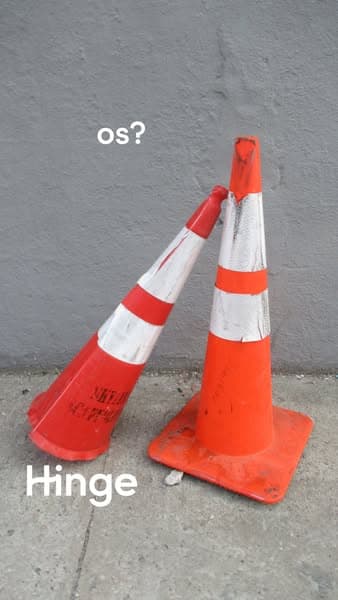 Tilmeld dig Hinge i dag.