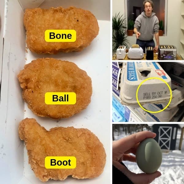 32+ Useful Facts To Help Us Get The Most Out Of Our Food