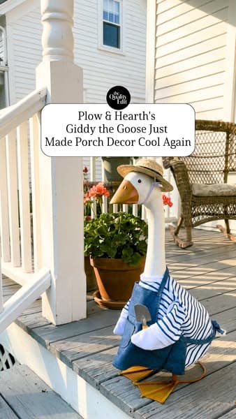 The Viral Porch Goose