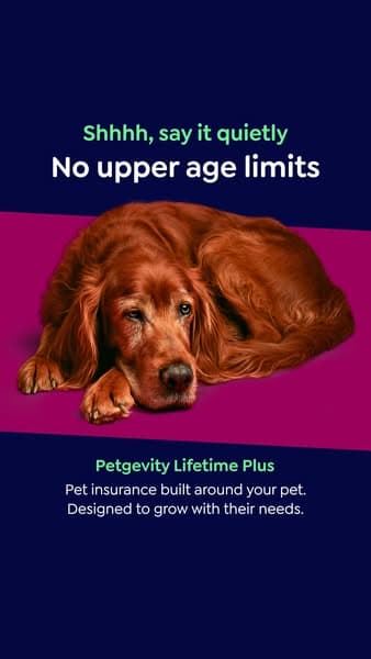 Lifetime Protection, for Less