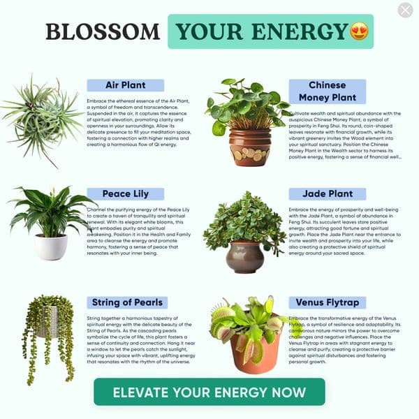Shame on you for having plants dying!
