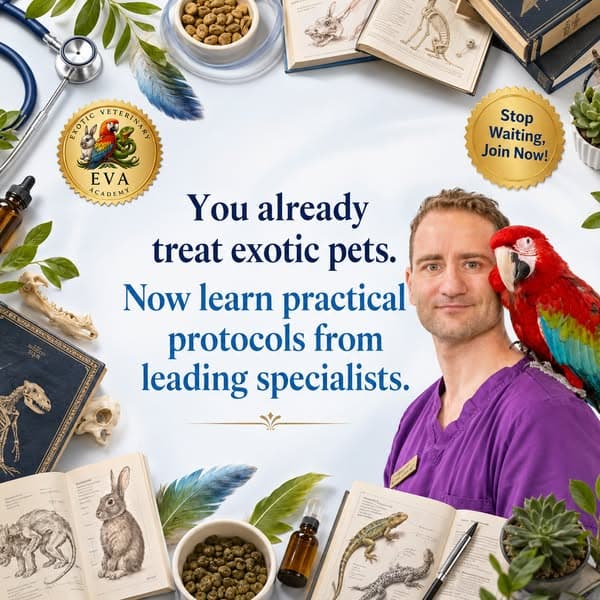 Strengthen Your Exotic Medicine Skills