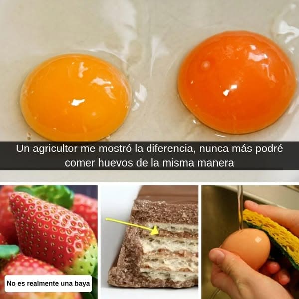 Más de 30 datos importantes que la mayoría de la gente desconoce sobre algunos alimentos