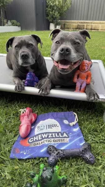 Power chewers meet their match 💪