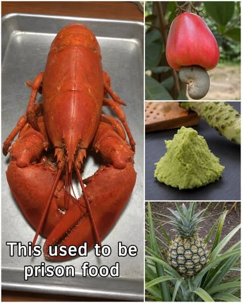 Why This Luxury Seafood Was Once Only Served To Prisoners