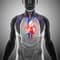 The Heart Health Project 