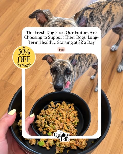 Vet-Developed Peace of Mind: 50% Off The Farmer’s Dog