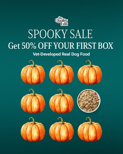 Vet-Developed Peace of Mind: 50% Off The Farmer’s Dog