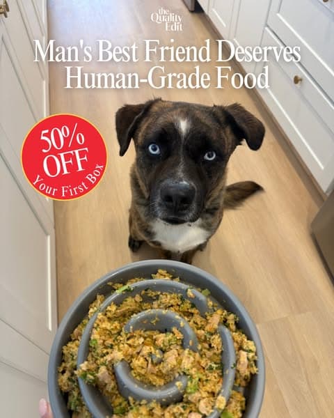 Vet-Developed Peace of Mind: 50% Off The Farmer’s Dog