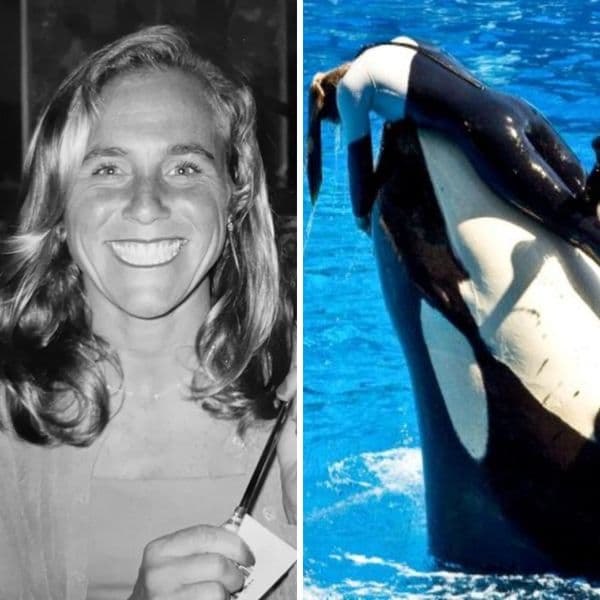 A Decade Later, Dawn Brancheau's Passing Is Solved