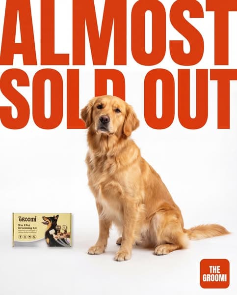 Almost Gone — Up To 57% Off