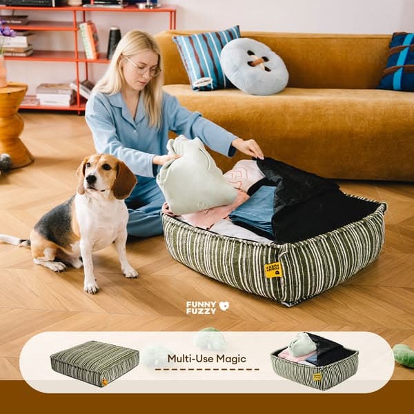 Cozy Fabric Pets Love, Storage You Need