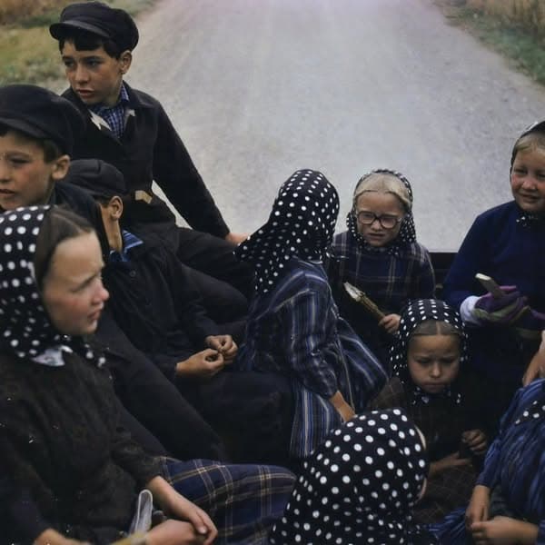 35+ Interesting Facts That Change The Way We View The Amish