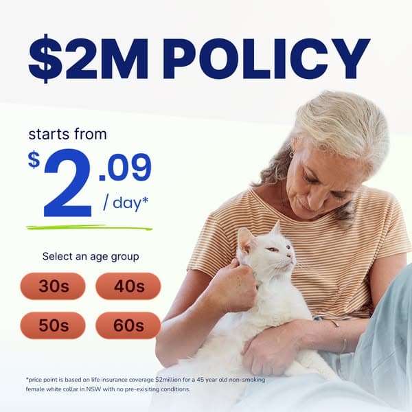 Compare & Switch Today!