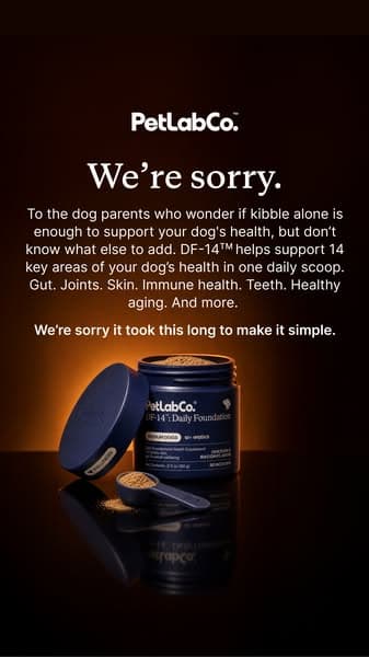 We’re Sorry It Took This Long to Make It Simple
