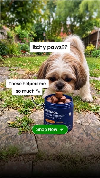 Paw Licking & Scratching? Get Up to 50% Off Today!