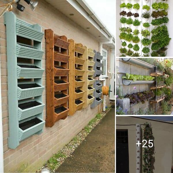 40+ Fresh Takes On Traditional Gardening