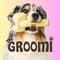 The Groomi
