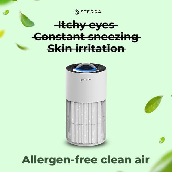Turn Your Home Into an Allergen-Free Space