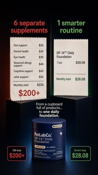 1 Scoop A Day - Your Dog's Health Covered!