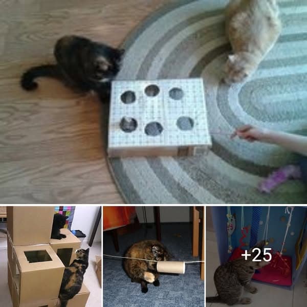 DIY Cat Toys That Will Help Keep Any Cat Happy
