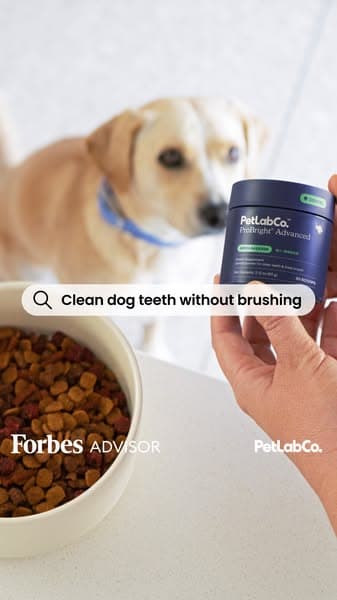 Support Cleaner Teeth Without The Brushing Battles