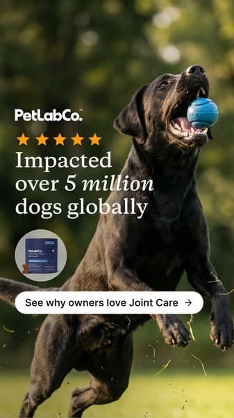 Get up to 50% OFF today!