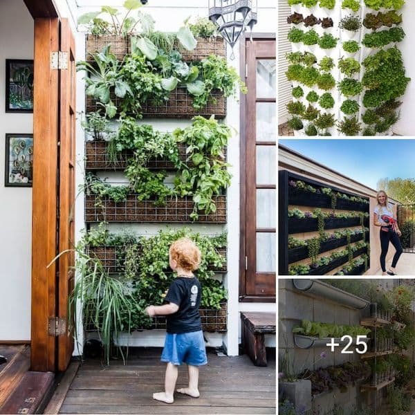 40+ Fresh Takes On Traditional Gardening