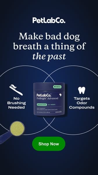 No Brushing. Just Results.