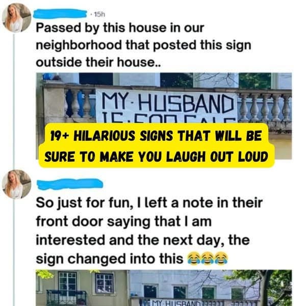 35+ Unforgettable and Hilarious Signs That'll Make Your Day