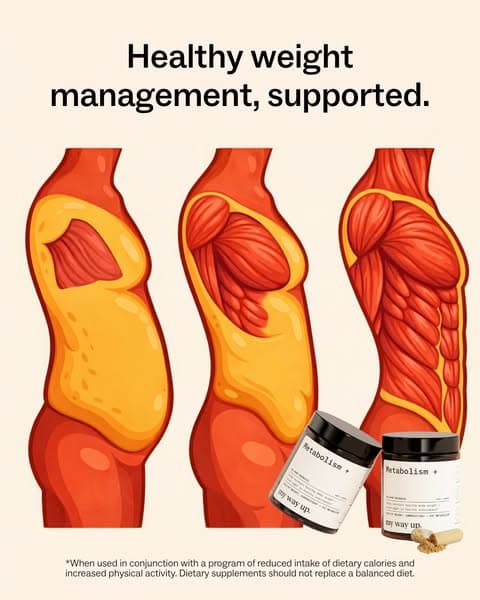 Ready For Your 2026 Reset?