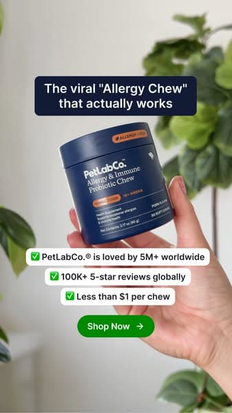 The daily chew that saved us this allergy season 🐶