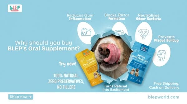 Complete Oral Care With Dog Oral Supplements