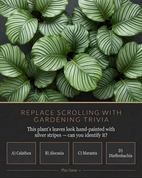 Start growing today π±