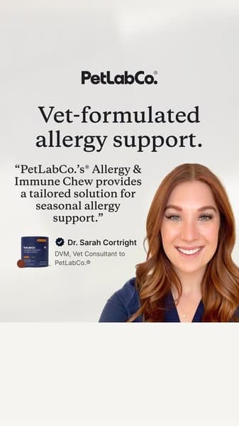Stop Guessing. Give Them the Allergy Support Vets Trust