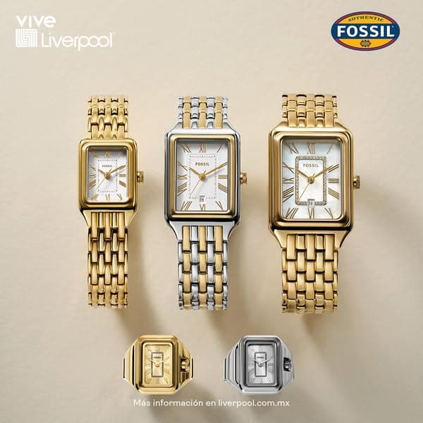 Es momento de elegir Fossil