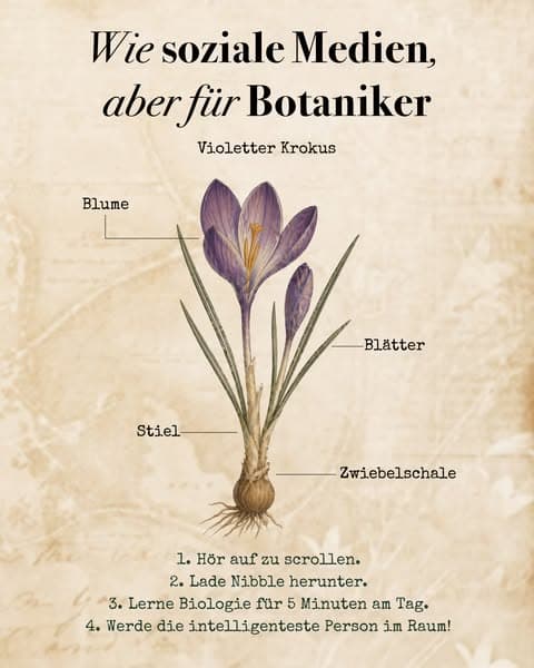 🔬 Biologie – aber in kleinen Häppchen!