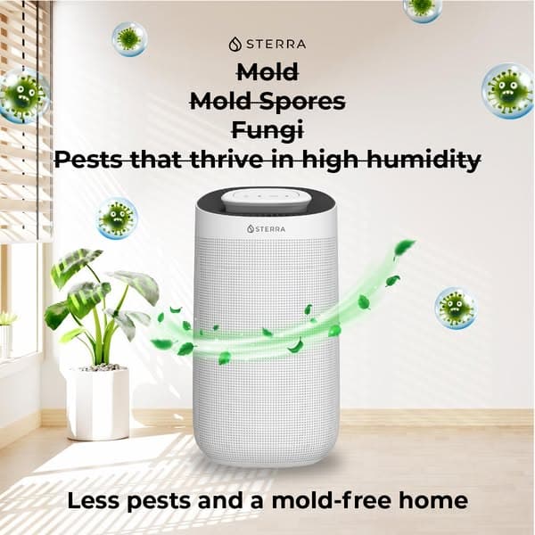 Control Humidity for a Healthier Home