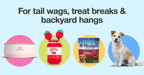 Summer Fun for Pets