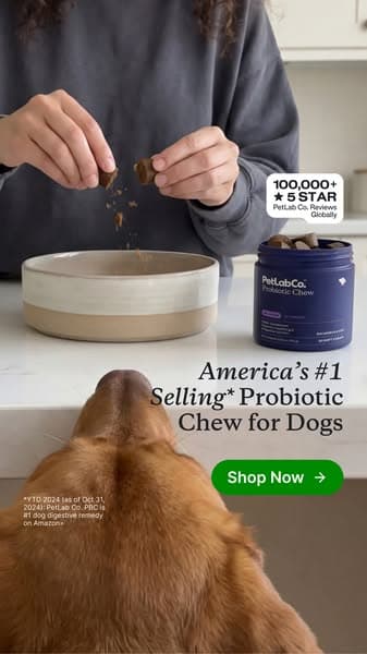 Finally a dog probiotic soft chew really built by science