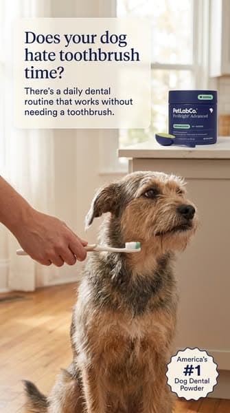 Keep their teeth clean WITHOUT a toothbrush!