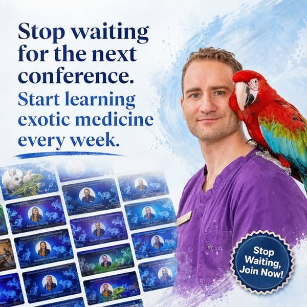 Strengthen Your Exotic Medicine Skills